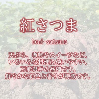 さつまいも「紅さつま」5kg