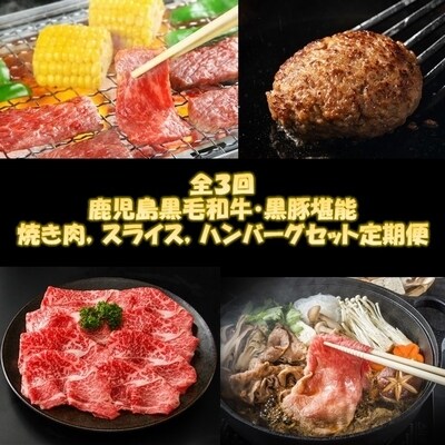【全3回】鹿児島黒毛和牛・黒豚堪能焼き肉、スライス、ハンバーグセット定期便