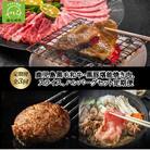 【全3回】鹿児島黒毛和牛・黒豚堪能焼き肉、スライス、ハンバーグセット定期便