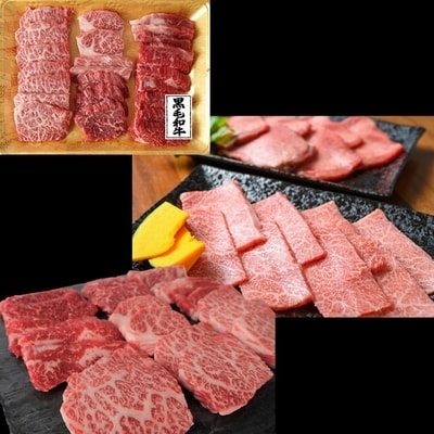 【全3回】鹿児島黒毛和牛・黒豚堪能焼き肉、スライス、ハンバーグセット定期便