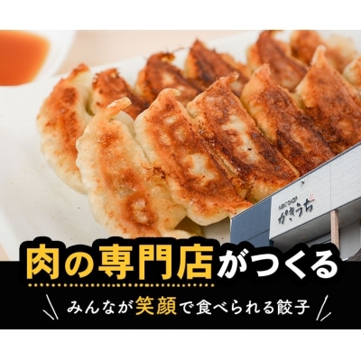 黒毛和牛ハンバーグ・黒豚餃子セット