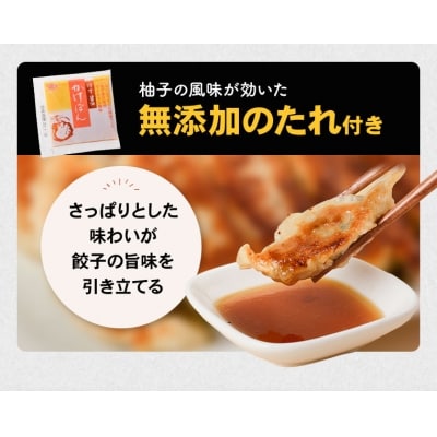 黒毛和牛ハンバーグ・黒豚餃子セット