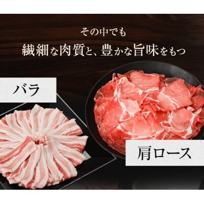 黒毛和牛ハンバーグ・黒豚しゃぶしゃぶセット