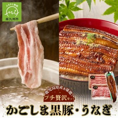 かごしま黒豚しゃぶしゃぶ用2パック・鹿児島県産ウナギ1尾のプチ贅沢セット