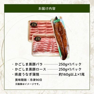 かごしま黒豚しゃぶしゃぶ用2パック・鹿児島県産ウナギ1尾のプチ贅沢セット