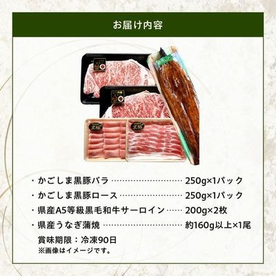 かごしま黒豚しゃぶしゃぶ用2パック・黒毛和牛サーロイン2枚・ウナギ1尾の抜群セット