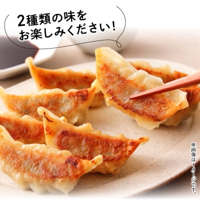 鹿児島黒豚餃子2種類12P(計144個)