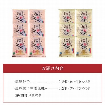 鹿児島黒豚餃子2種類12P(計144個)