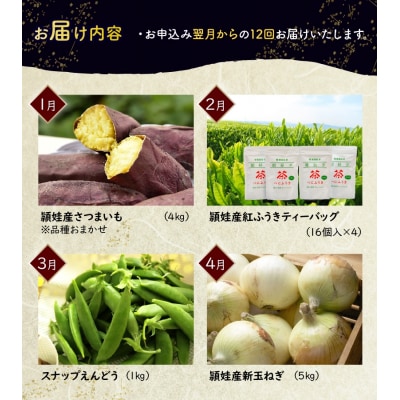 【全12回】南九州市頴娃うまいもん定期便