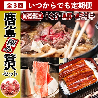 【全3回】いつでも始められる黒毛和牛・黒豚・うなぎ 鹿児島極み贅沢セット定期便