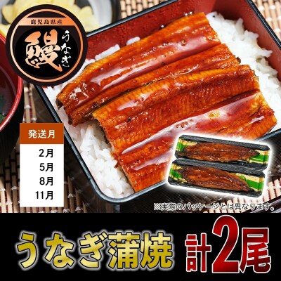 【全3回】いつでも始められる黒毛和牛・黒豚・うなぎ 鹿児島極み贅沢セット定期便