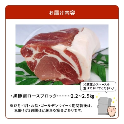 鹿児島黒豚肩ロースブロック まるごと塊のまま2.2~2.5kg