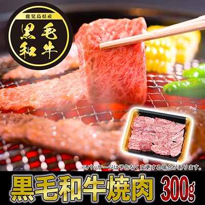 【翌月発送】黒豚・黒毛和牛・うなぎ 鹿児島!味の極み便A