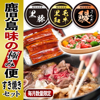 黒豚・黒毛和牛・うなぎ 鹿児島!味の極み便B