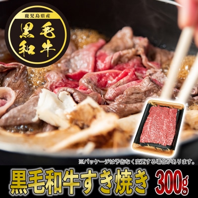 黒豚・黒毛和牛・うなぎ 鹿児島!味の極み便B