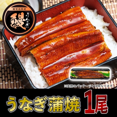 黒豚・黒毛和牛・うなぎ 鹿児島!味の極み便B