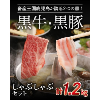 鹿児島黒牛・黒豚しゃぶしゃぶセット