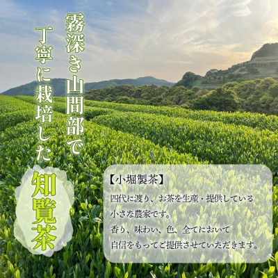 小堀製茶の2025年産煎茶『TEA PACK』6個セット