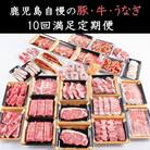 【全10回】鹿児島自慢の豚・牛・うなぎ!10回満足定期便