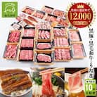 【全10回】鹿児島自慢の豚・牛・うなぎ!10回満足定期便