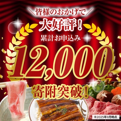 【全10回】鹿児島自慢の豚・牛・うなぎ!10回満足定期便