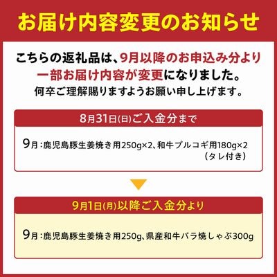 【全10回】鹿児島自慢の豚・牛・うなぎ!10回満足定期便