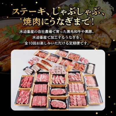【全10回】鹿児島自慢の豚・牛・うなぎ!10回満足定期便
