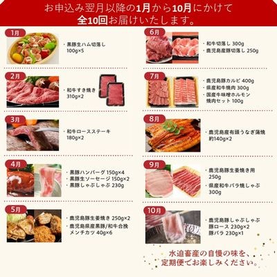 【全10回】鹿児島自慢の豚・牛・うなぎ!10回満足定期便
