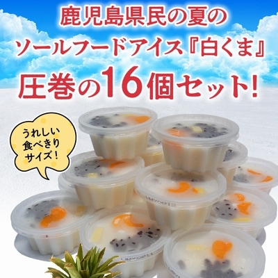 南国白くまカップ16個セット