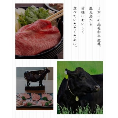 鹿児島県産黒毛和牛サーロインステーキ600g