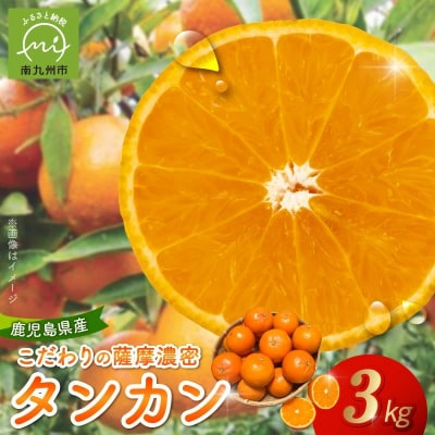 こだわりの薩摩濃密タンカン3kg