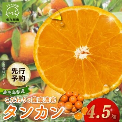 【先行予約】こだわりの薩摩濃密タンカン4.5kg