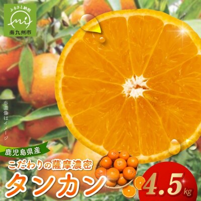 こだわりの薩摩濃密タンカン4.5kg