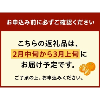 こだわりの薩摩濃密タンカン4.5kg