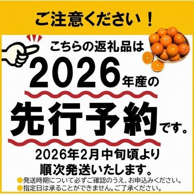 【先行予約】こだわりの薩摩濃密タンカン4.5kg