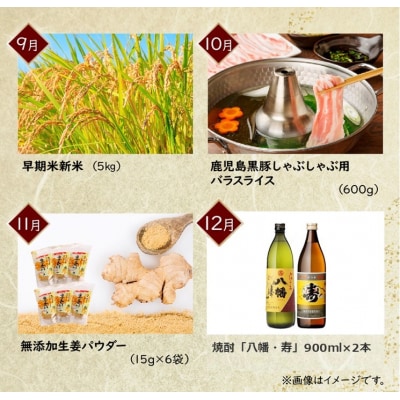 【全12回】南九州市川辺うまいもん定期便