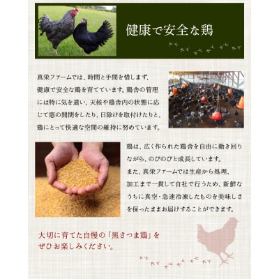 黒さつま鶏 鍋セット(4～5人前)