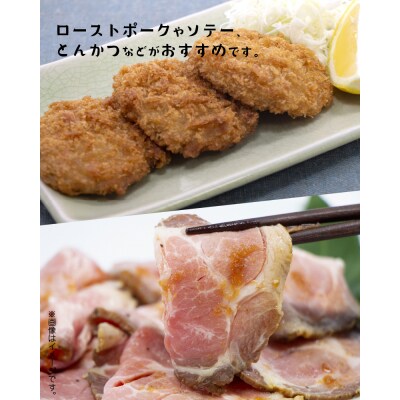 鹿児島県産黒豚ヒレブロック3本 約1.5kg
