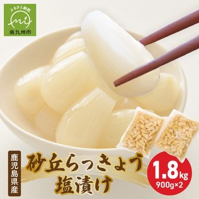 鹿児島県産砂丘らっきょう塩漬け1.8キロ