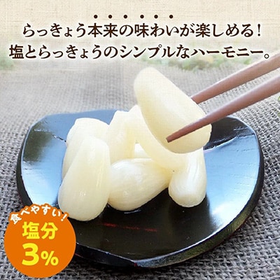 鹿児島県産砂丘らっきょう塩漬け1.8キロ