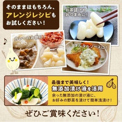 鹿児島県産砂丘らっきょう塩漬け1.8キロ