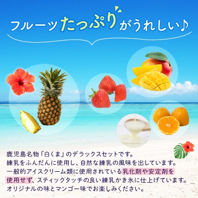 鹿児島名物 南国白くまDX詰合せ