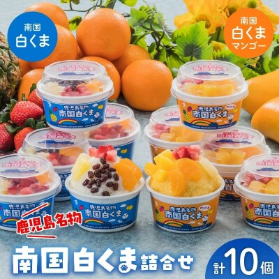 南国白くま・南国白くまマンゴー10個詰合せセット