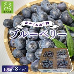 ブルーベリー100g×8P