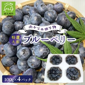 特選大粒ブルーベリー