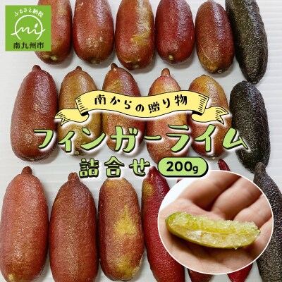 フィンガーライム詰合せ | お礼品詳細 | ふるさと納税なら「さとふる」