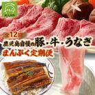【全12回】鹿児島自慢の豚・牛・うなぎ まんぷく定期便