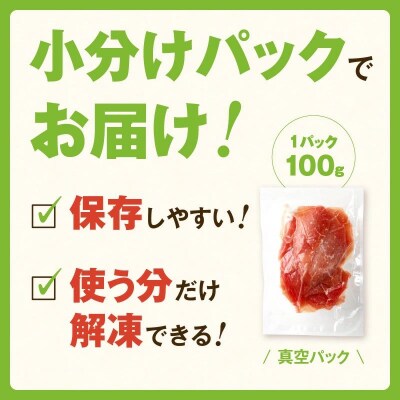 鹿児島産黒豚生ハム切落し700g