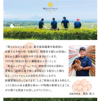 菊ちゃんのたまごスープセット(卵40個・スープ10個)