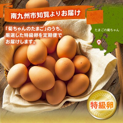 【全6回】菊ちゃんのたまご(特級卵)定期便